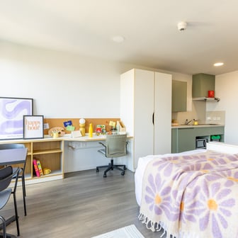 Gold Studio - Image 3